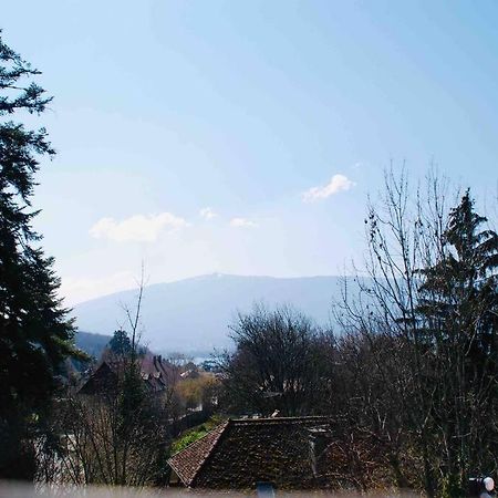 Maison 3 Chambres Au Lac D'Annecy, 30Min La Clusaz 芒通-圣贝尔纳 外观 照片
