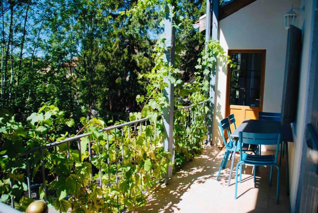 Maison 3 Chambres Au Lac D'Annecy, 30Min La Clusaz 芒通-圣贝尔纳 外观 照片