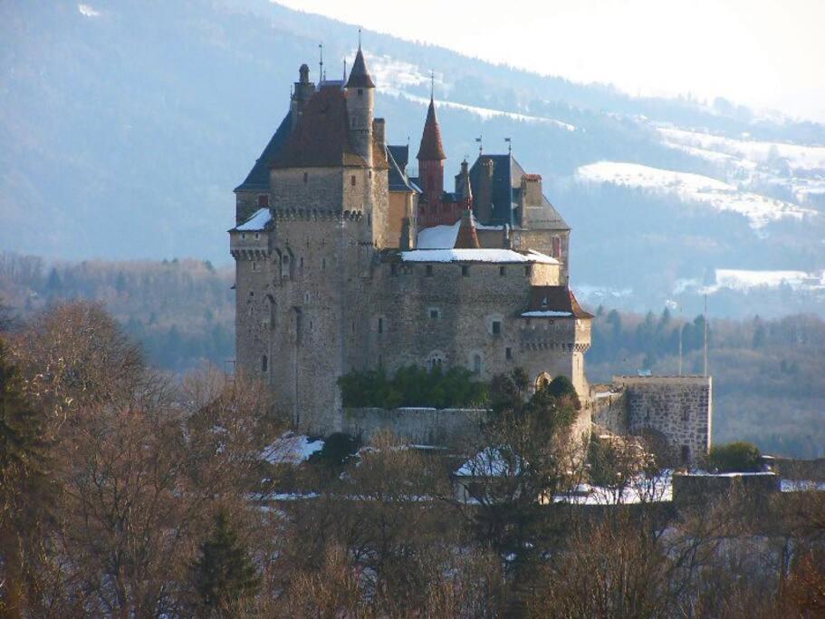 Maison 3 Chambres Au Lac D'Annecy, 30Min La Clusaz 芒通-圣贝尔纳 外观 照片