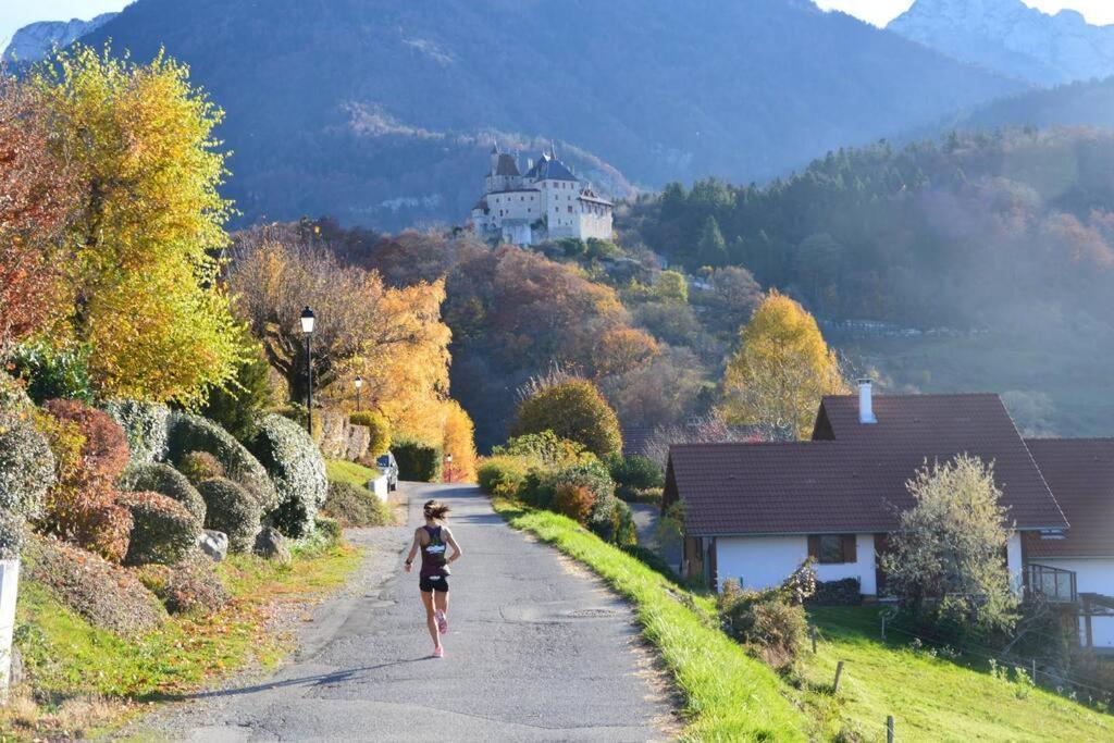 Maison 3 Chambres Au Lac D'Annecy, 30Min La Clusaz 芒通-圣贝尔纳 外观 照片