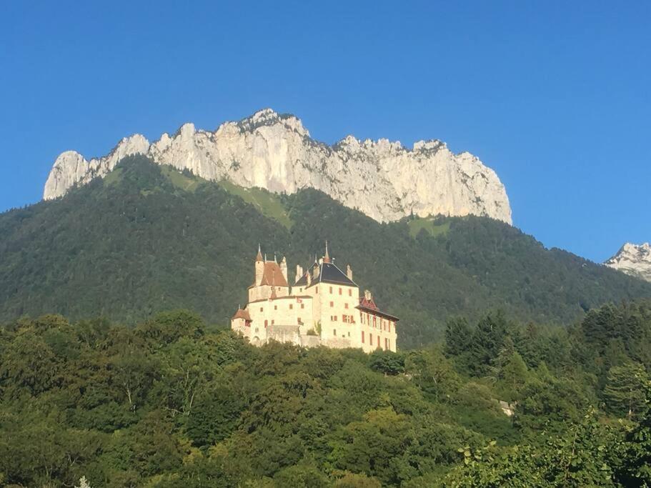 Maison 3 Chambres Au Lac D'Annecy, 30Min La Clusaz 芒通-圣贝尔纳 外观 照片
